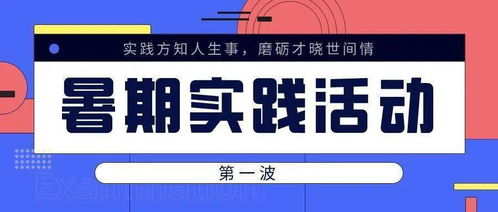 實事求是 經濟學院暑期社會實踐風采展（二）——社會經濟咨詢服務