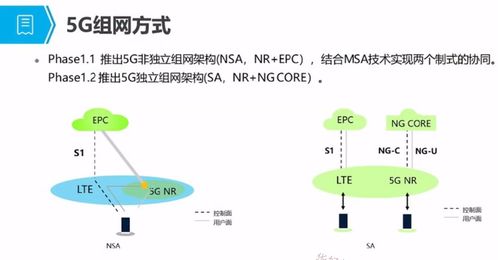 5G培訓應用篇一 5G概述、發展與演進及人體干細胞技術的開發與應用