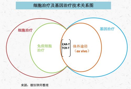 德恒律師事務所的專業視角 人體干細胞技術在北京與重慶的開發與應用法律實務